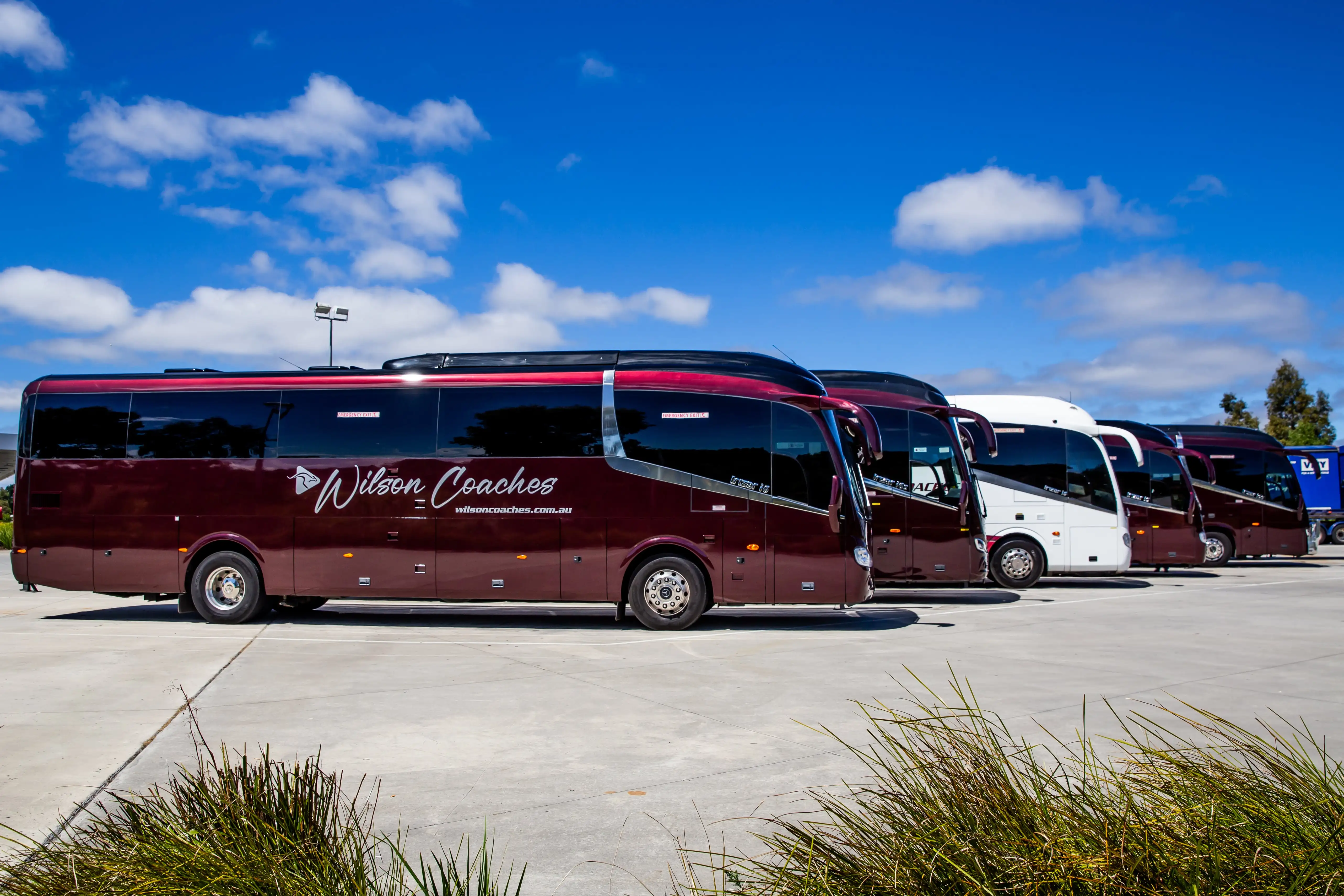 Wilson Coaches fleet